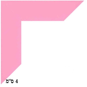 פרופיל 4-017