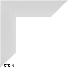 פרופיל 4-silver